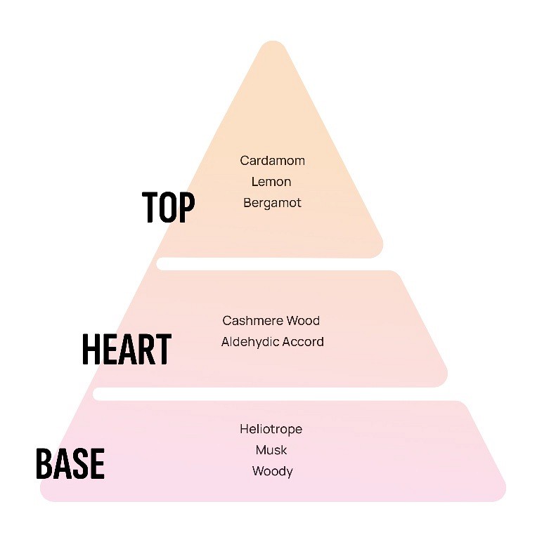 Areon dišeče palčke Exclusive - Ecru