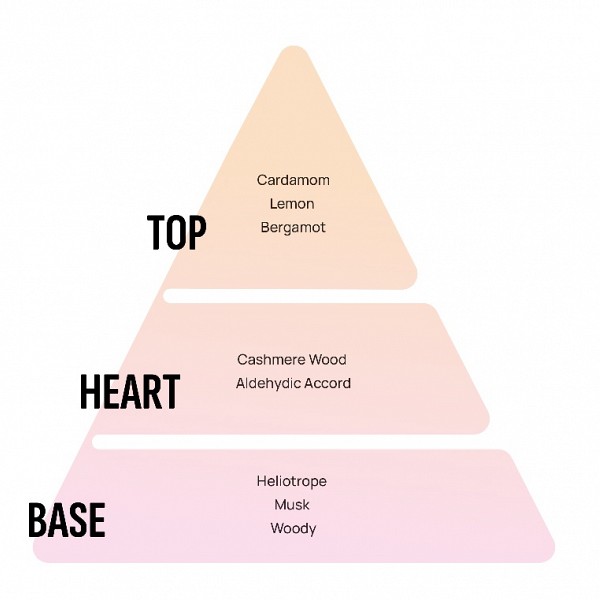 Areon dišeče palčke Exclusive - Ecru